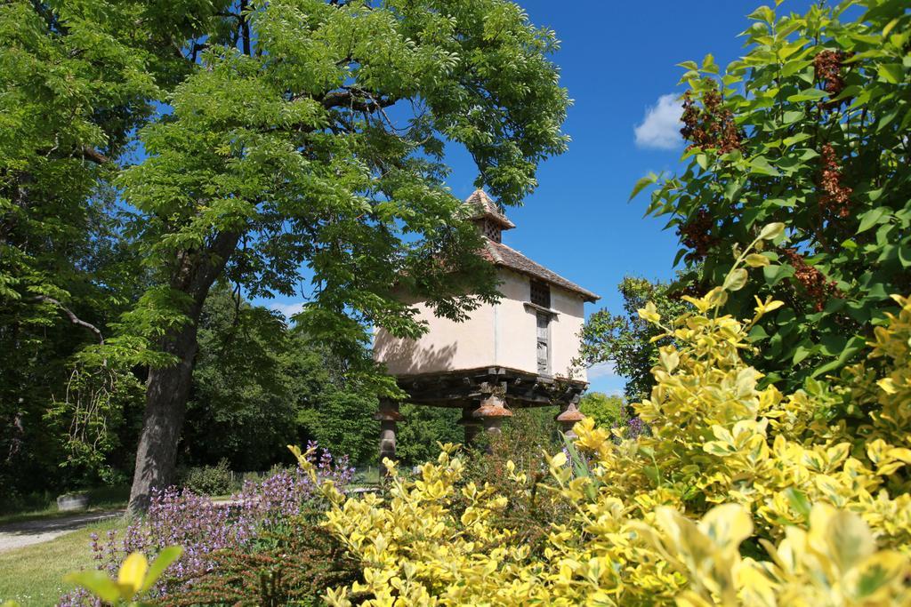 Chateau De Mayragues Castelnau-de-Montmiral Luaran gambar