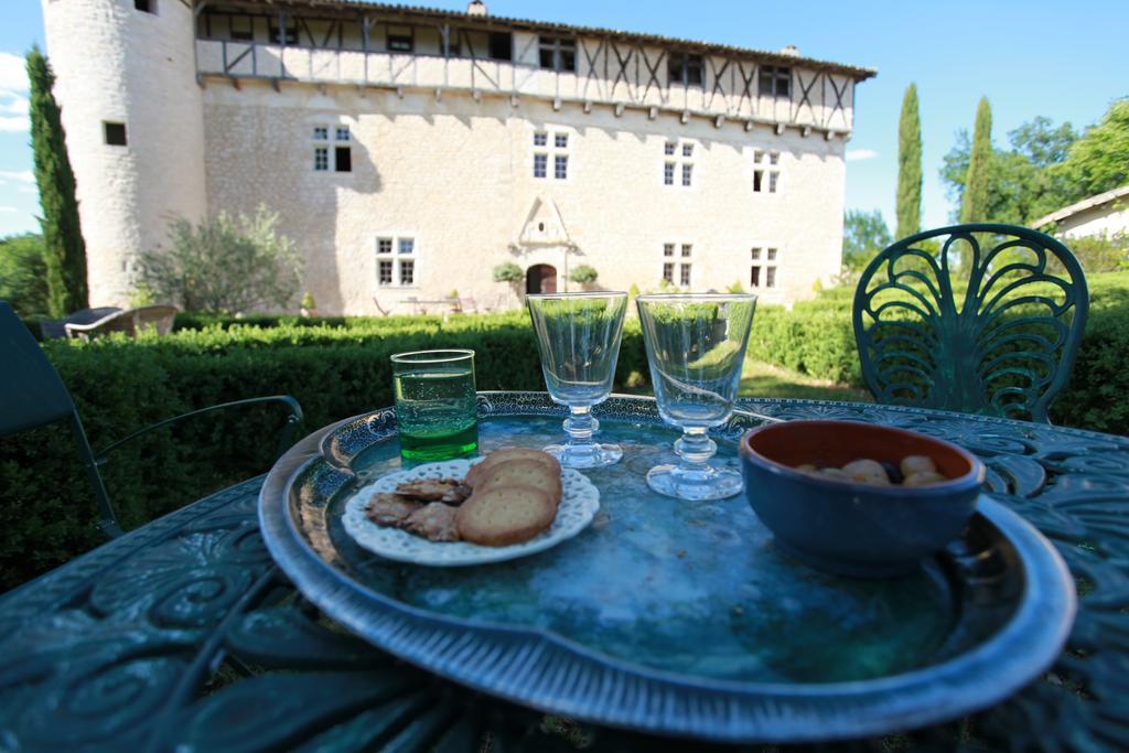 Chateau De Mayragues Castelnau-de-Montmiral Luaran gambar