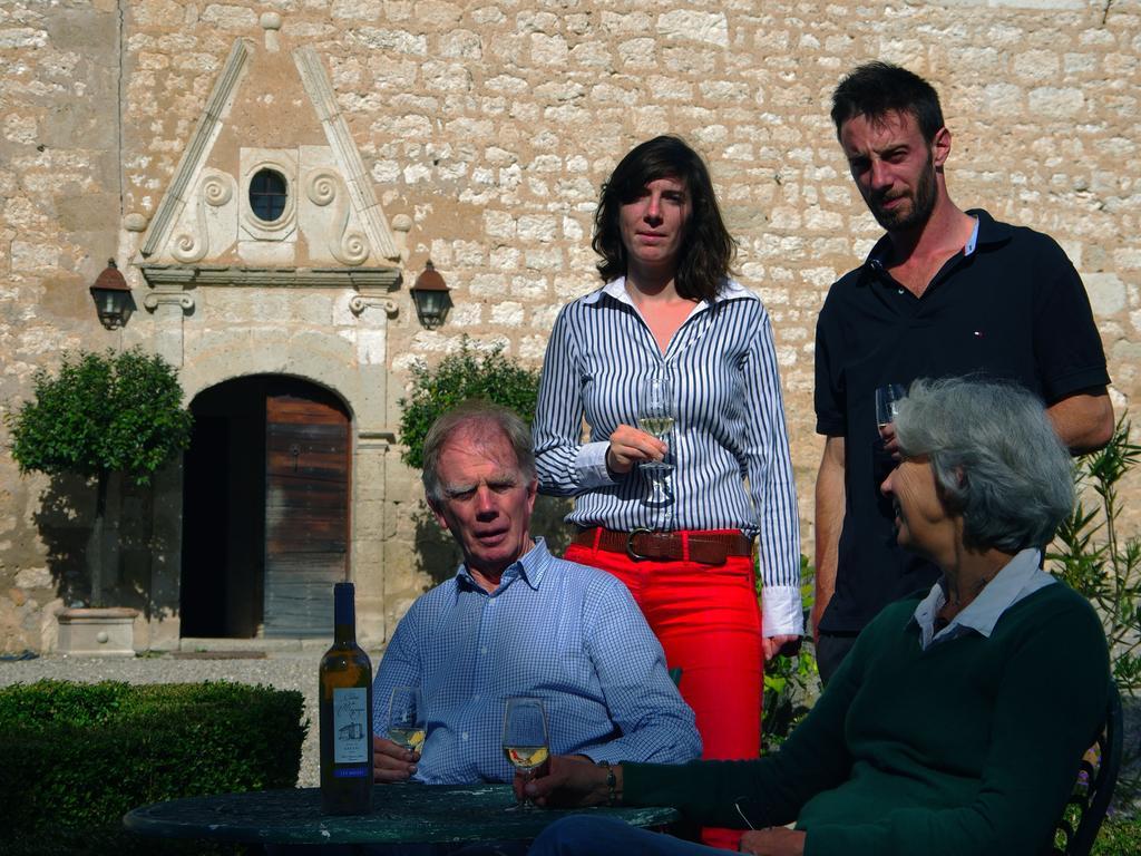 Chateau De Mayragues Castelnau-de-Montmiral Luaran gambar