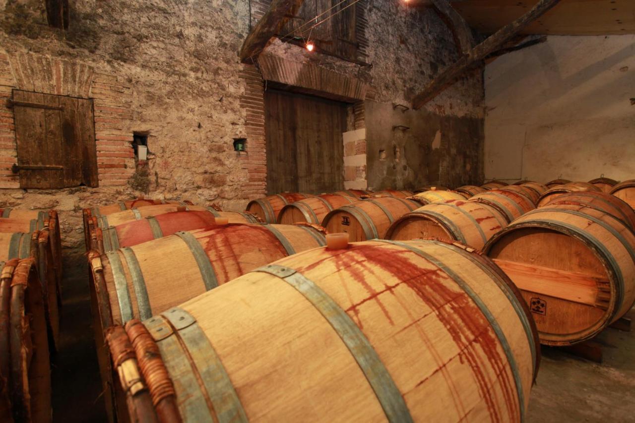 Chateau De Mayragues Castelnau-de-Montmiral Luaran gambar