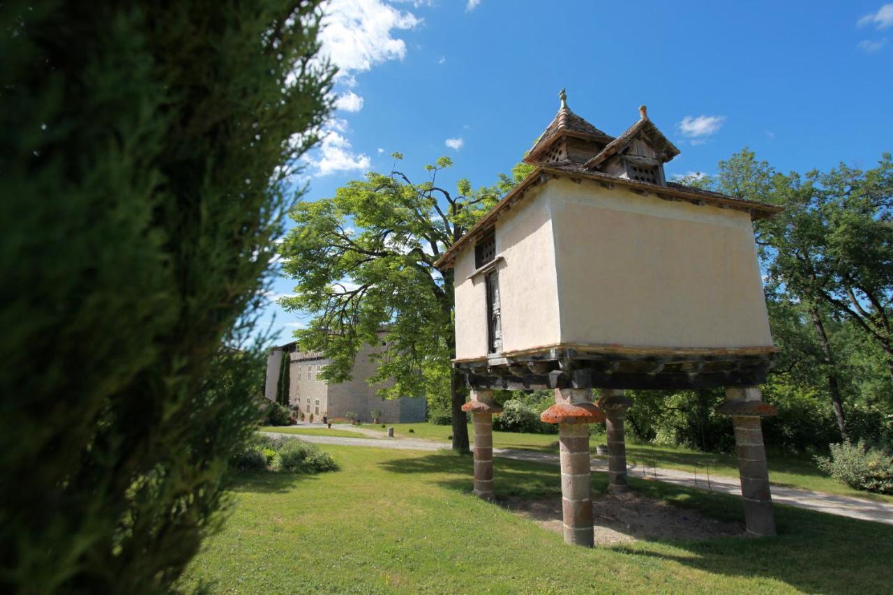 Chateau De Mayragues Castelnau-de-Montmiral Luaran gambar